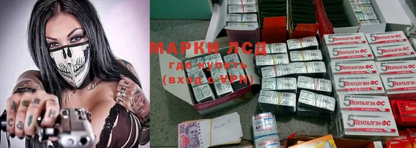 спиды Верея
